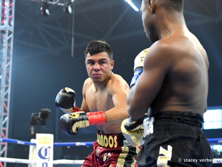 Photos: Granados vs. Fortuna Ends Early With Freak Accident - Boxing News